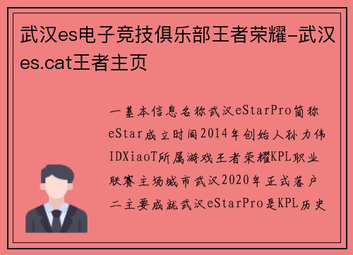 武汉es电子竞技俱乐部王者荣耀-武汉es.cat王者主页